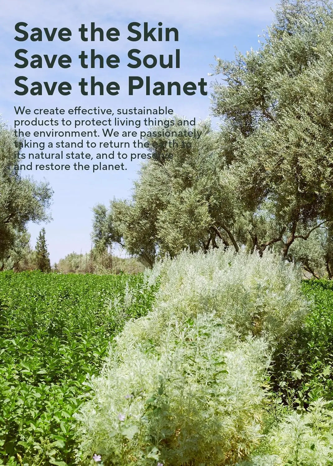 Rosemary Hair Thickening Conditioner, 400 Ml