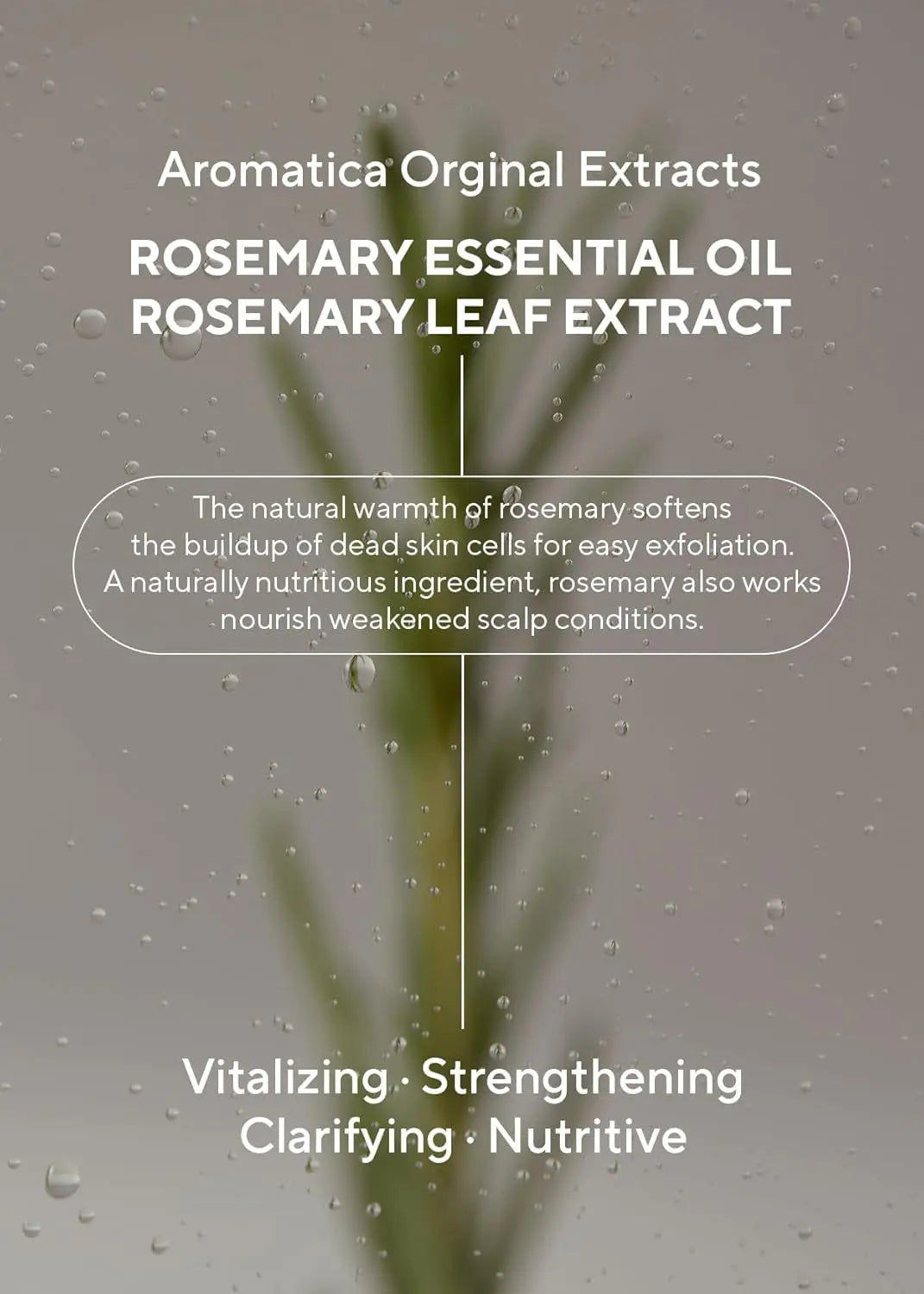 Rosemary 3-In-1 Treatment, 1 Count