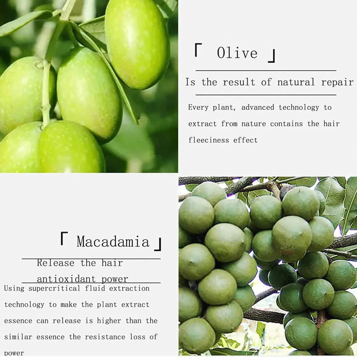 Magic Hair Care, No Rinse Hair Care, Magic Hair Care, No Rinse Shampoo (2 Bottles)