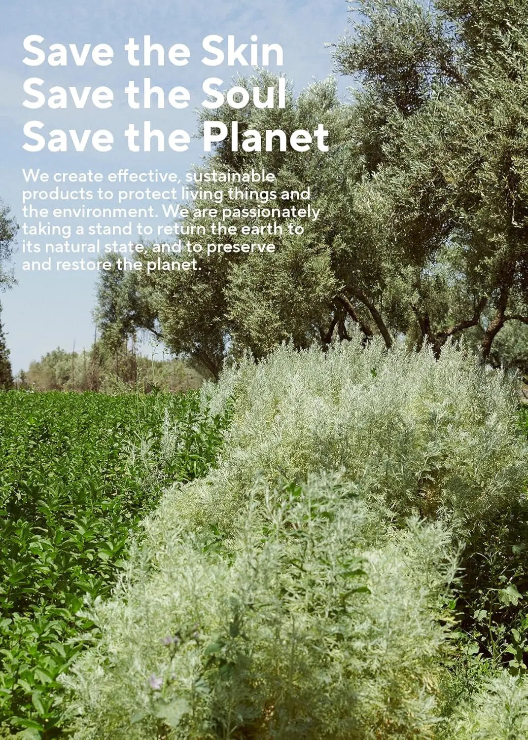 Rosemary 3-In-1 Treatment, 1 Count